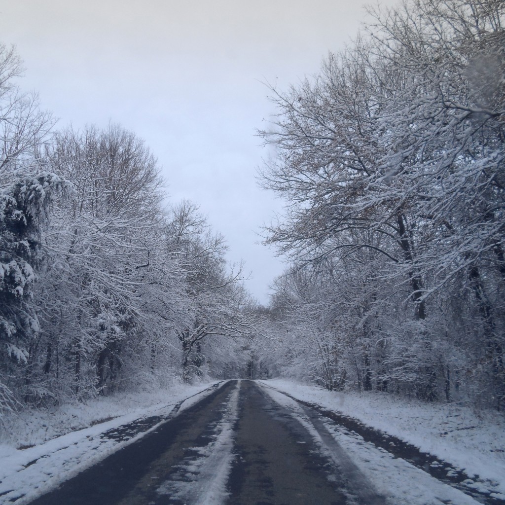 winterroad_sq